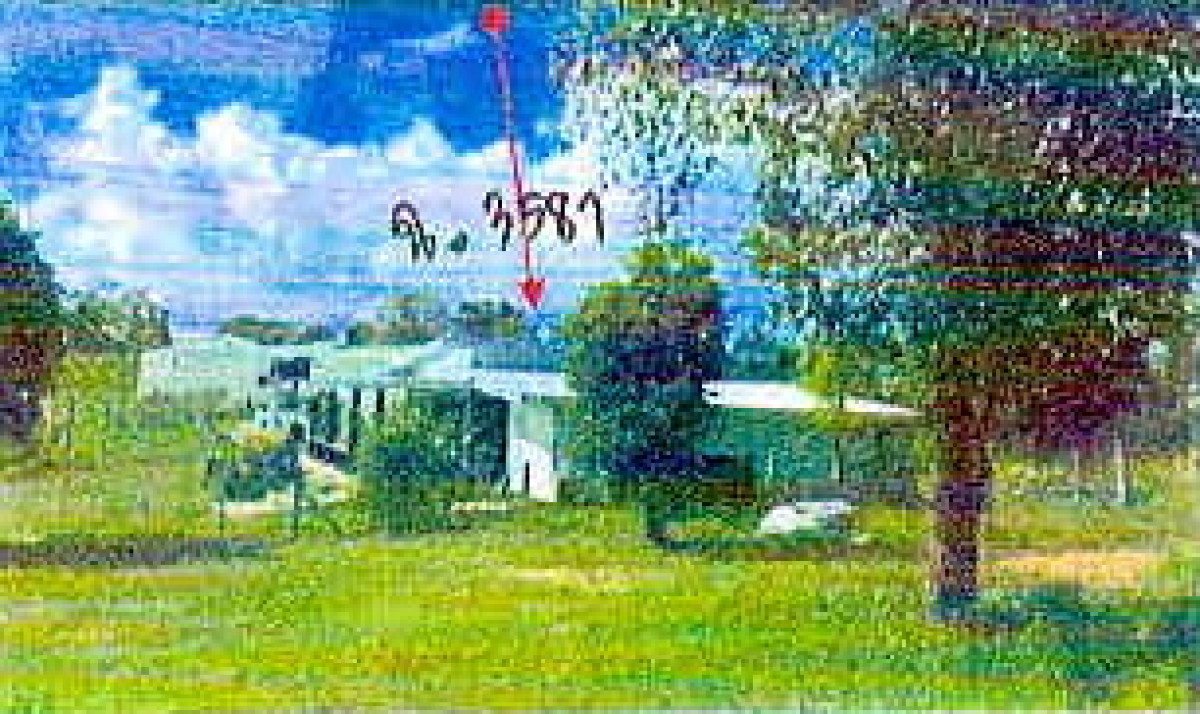 บ้านเดี่ยว เลย ภูเรือ ร่องจิก 4949000