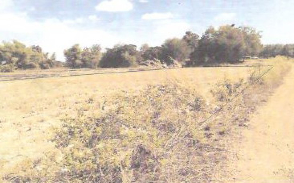 Residential land/lot Loei Mueang Loei Mueang 1299200