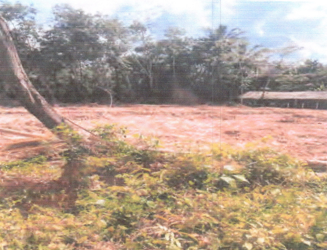 Residential land/lot Phatthalung Khao Chaison Han Pho 70560