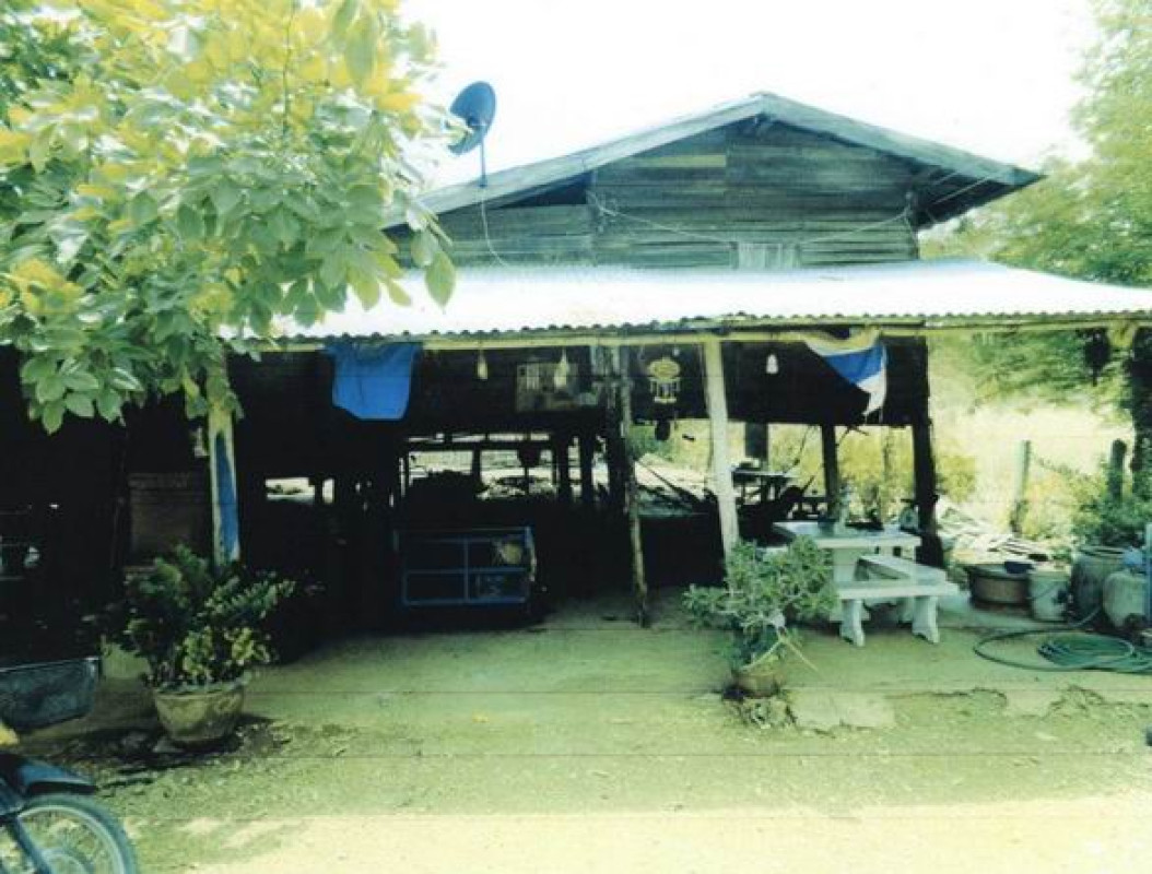 บ้านเดี่ยว เพชรบูรณ์ ชนแดน ดงขุย 142950