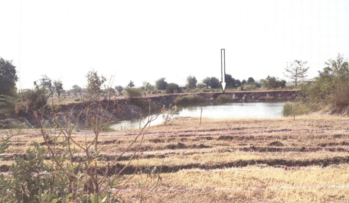 ที่ดินเปล่า สระบุรี หนองโดน บ้านกลับ 224575