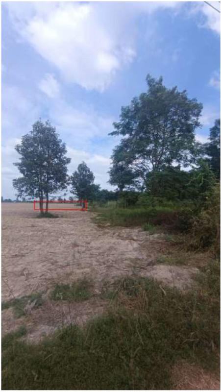 Residential land/lot Udon Thani Nong Han Nong Han 76500