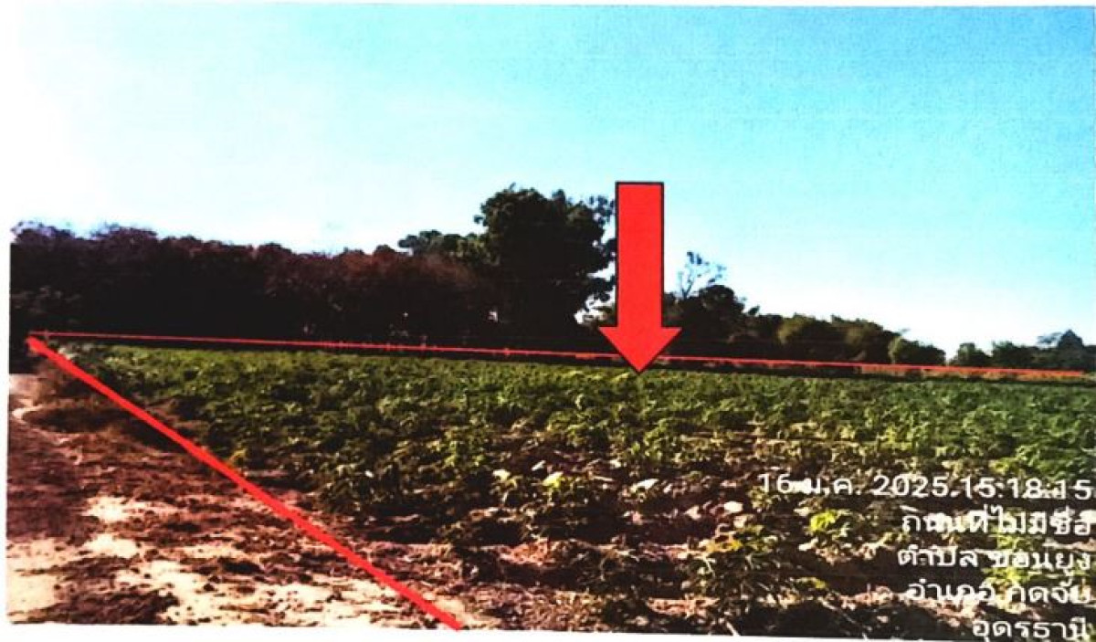 Residential land/lot Udon Thani Kut Chap Khon Yung 599800