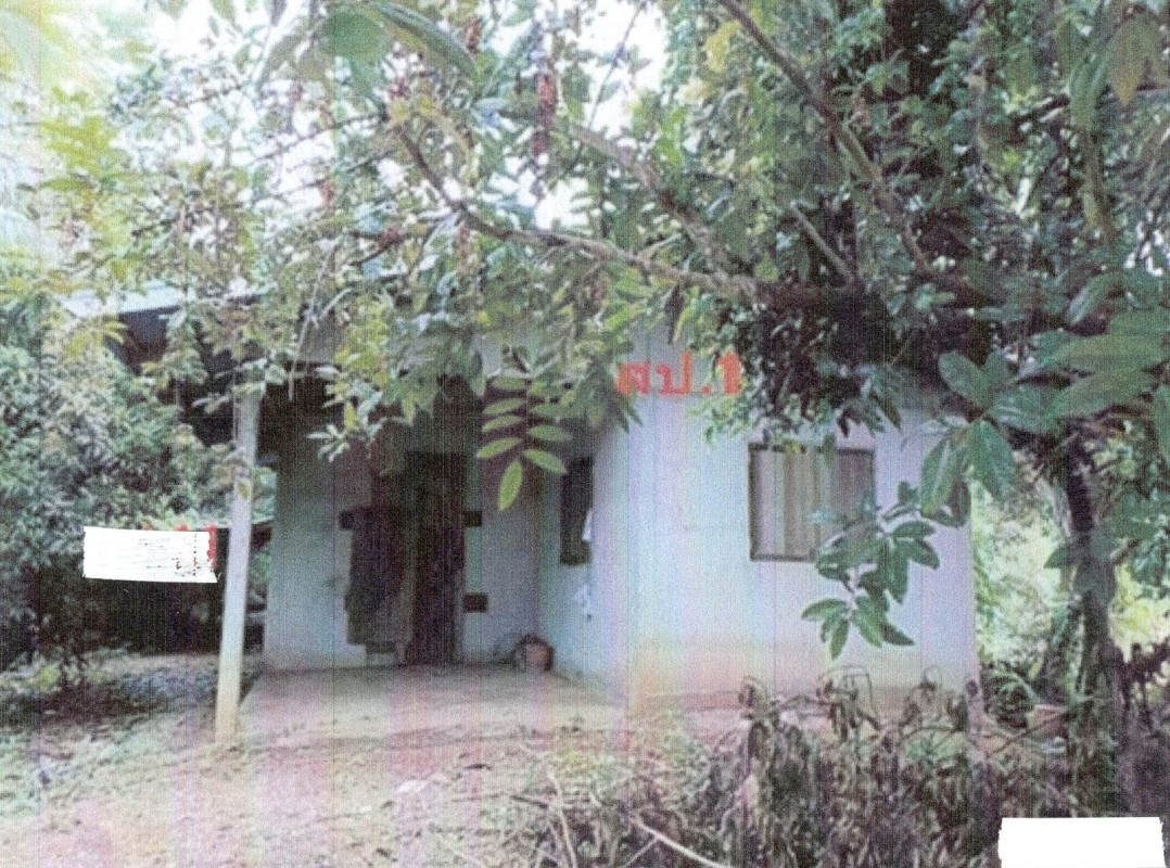 Single house Loei Wang Saphung Wang Saphung 1835600