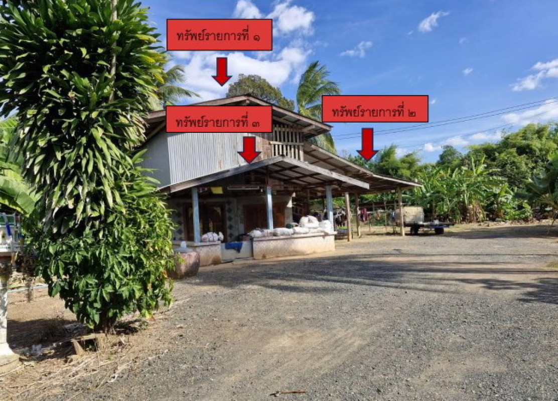 Single house Phetchabun Mueang Phetchabun Ban Khok 985108