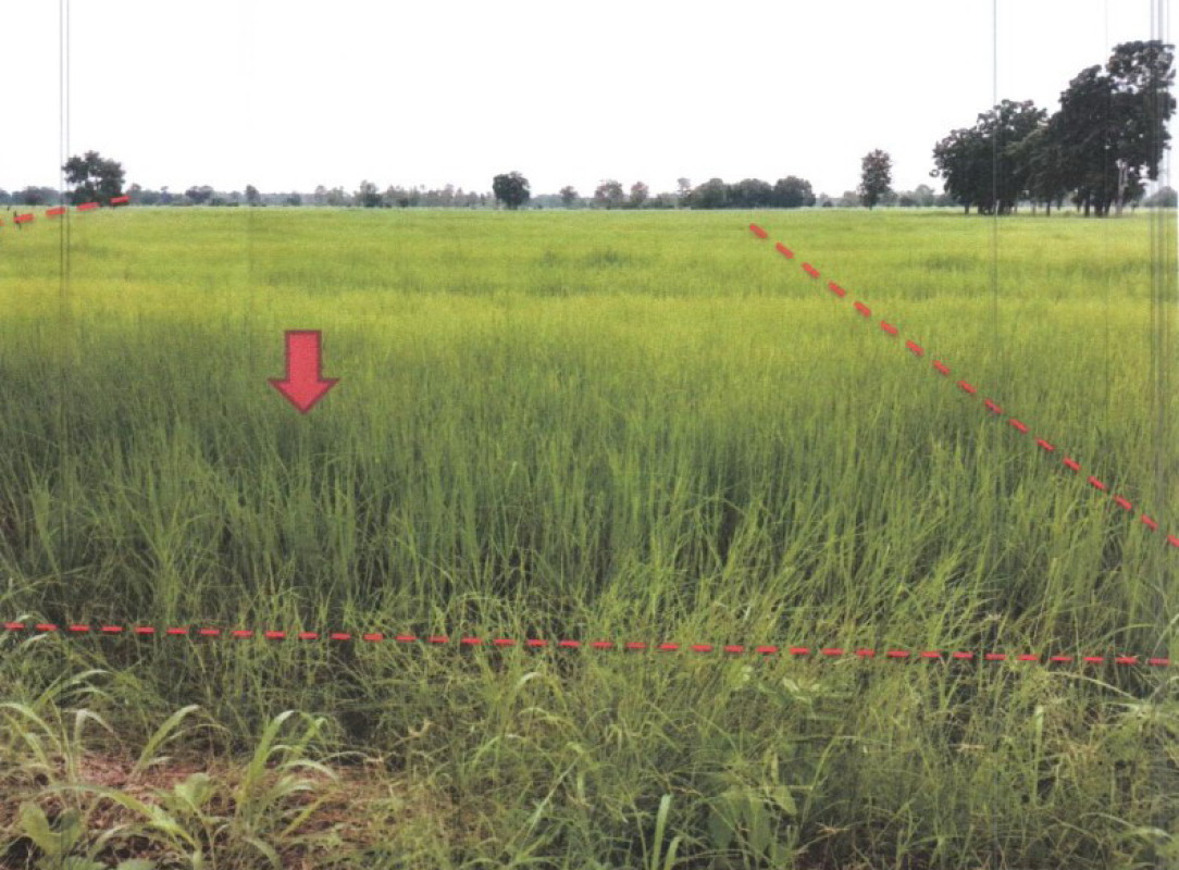 Residential land/lot Phichit Taphan Hin Nong Phayom 700000