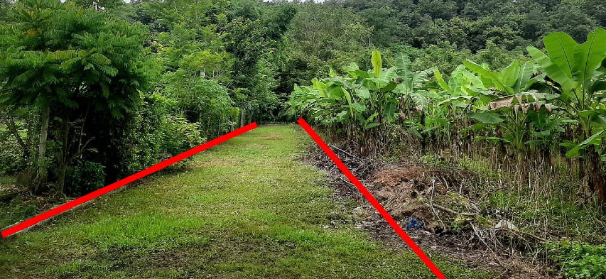 Residential land/lot Chiang Mai Mae Taeng Mae Taeng 130500