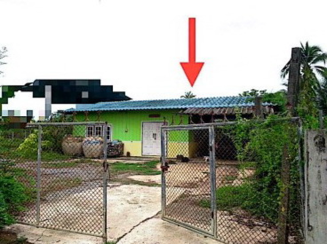 บ้านเดี่ยว ฉะเชิงเทรา แปลงยาว วังเย็น 179345