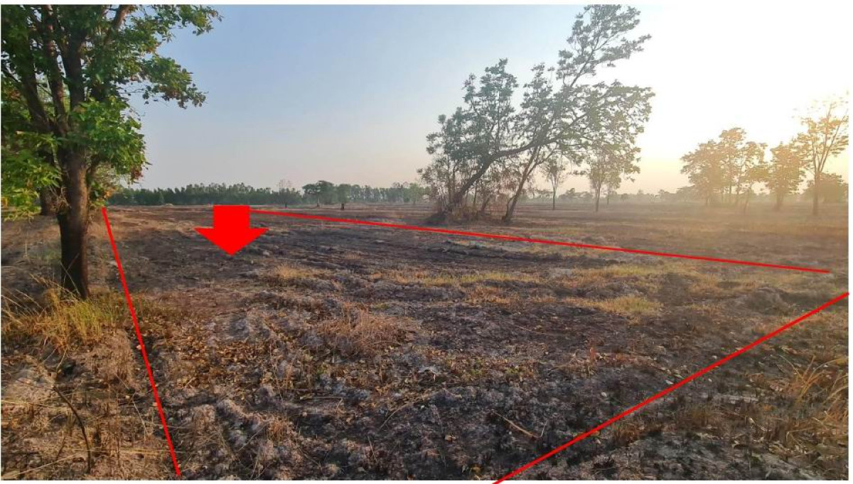 Residential land/lot Phetchabun Si Thep Na Sanun 586950