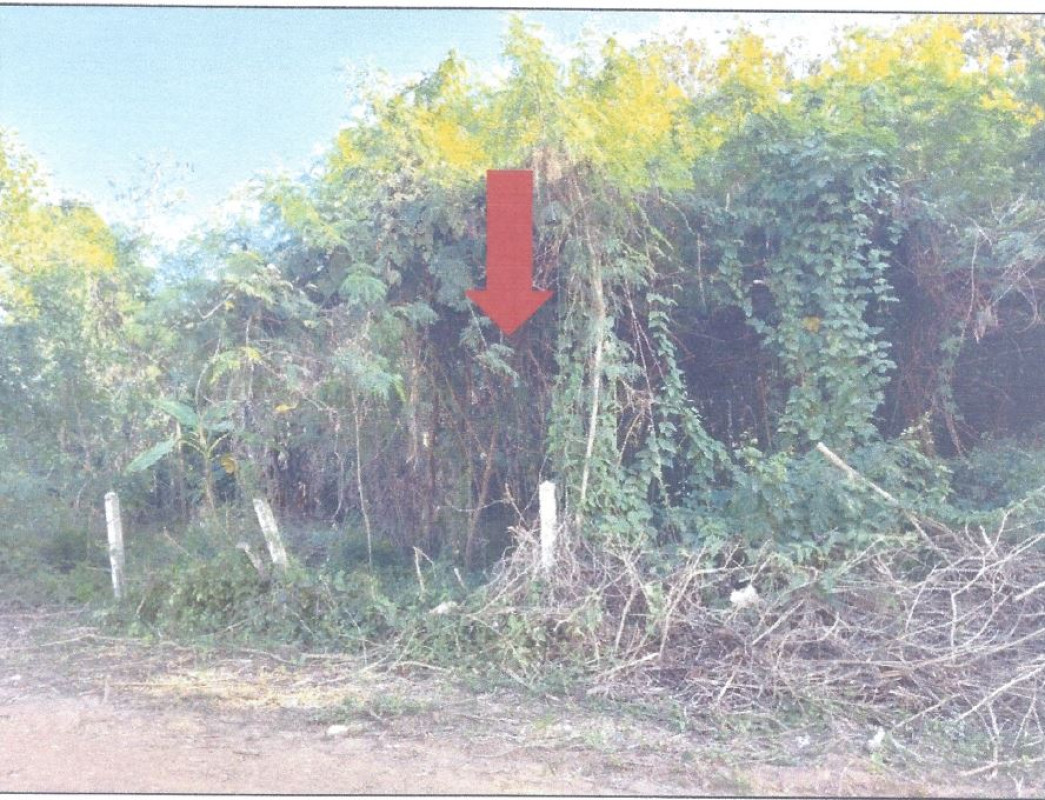ที่ดินเปล่า อุดรธานี เมืองอุดรธานี นาดี 318400