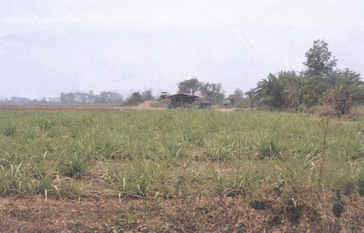 ที่ดินเปล่า แพร่ เมืองแพร่ เหมืองหม้อ 84240