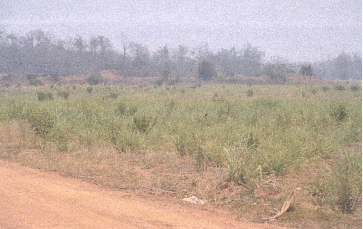 Residential land/lot Phrae Mueang Phrae Mueang Mo 24240