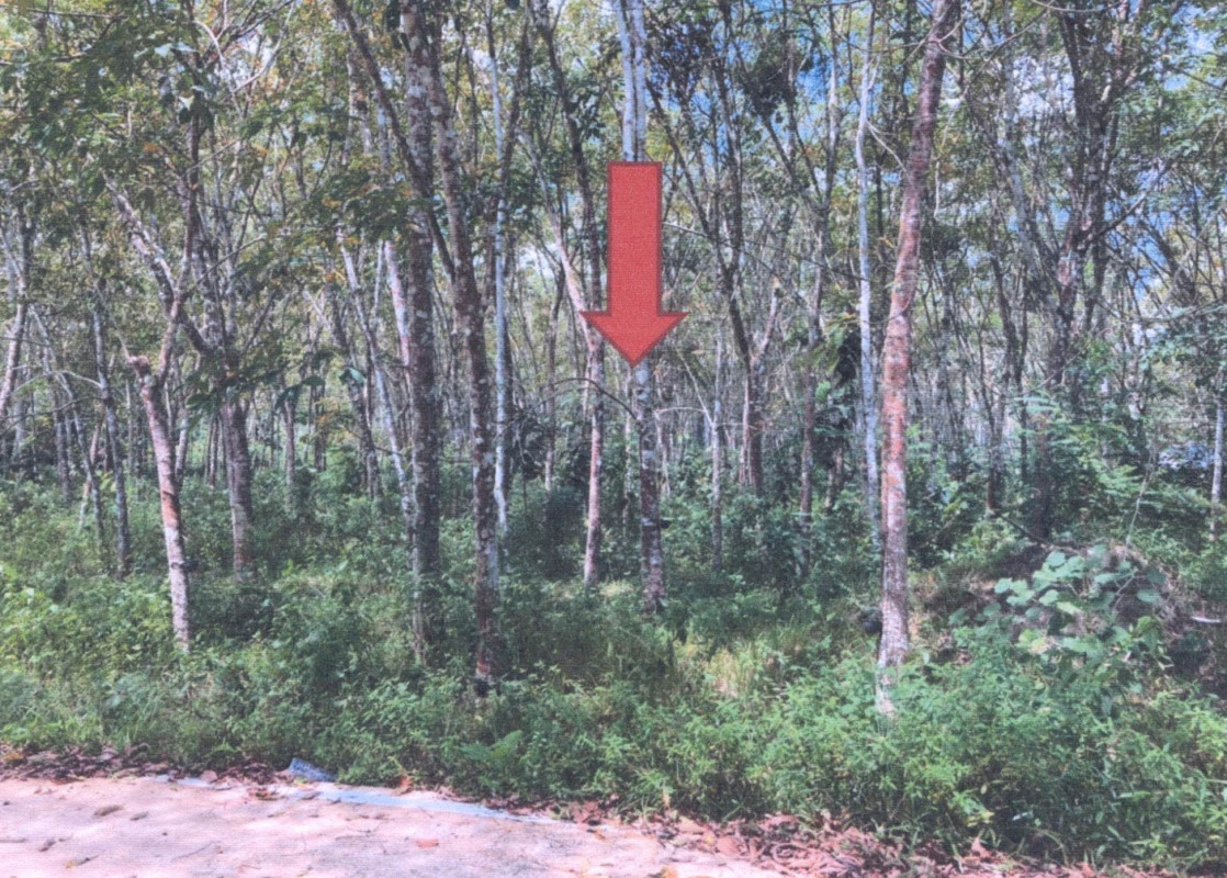 Residential land/lot Yala Raman Talo Halo 987075