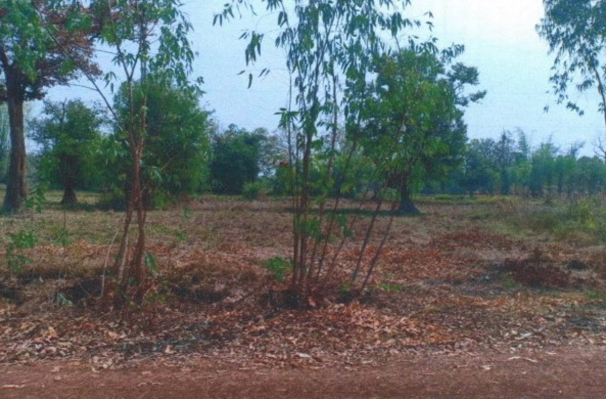 ที่ดินเปล่า อุดรธานี หนองหาน สะแบง 1471250