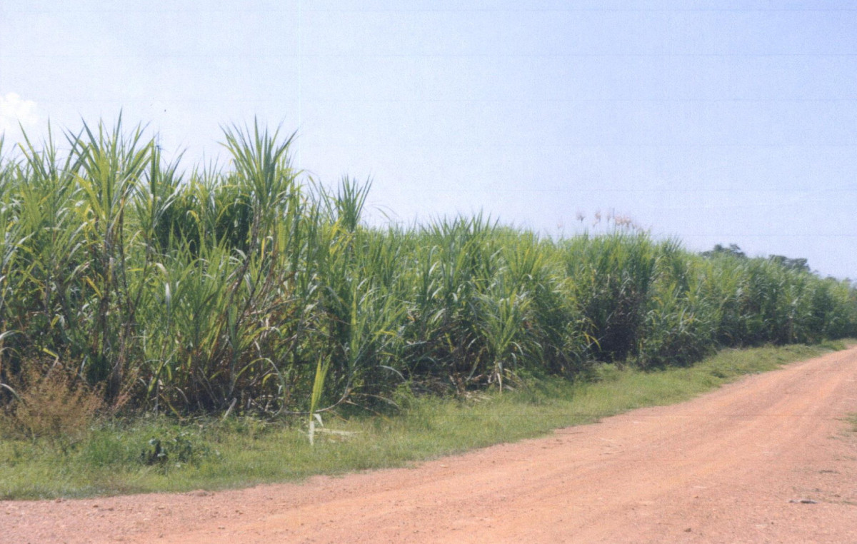 ที่ดินเปล่า แพร่ เมืองแพร่ เหมืองหม้อ 48000