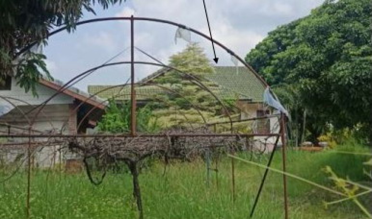 บ้านเดี่ยว เชียงราย พาน สันกลาง 1184076