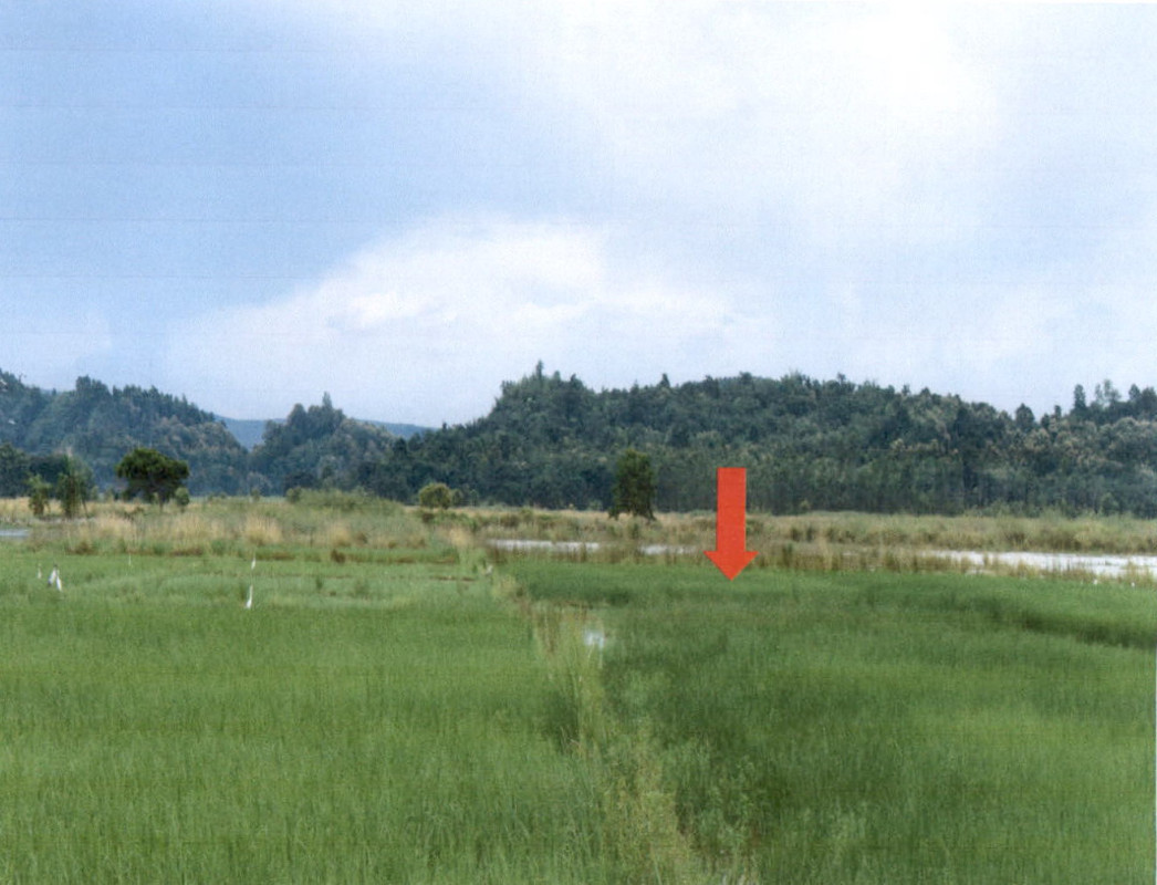 Residential land/lot Chiang Rai Mueang Chiang Rai Doi Lan 97200