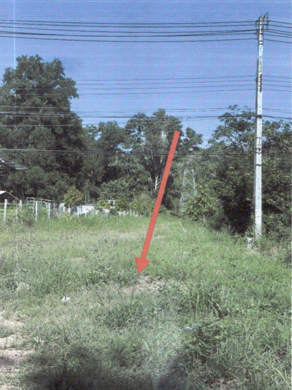 Residential land/lot Phatthalung Khuan Khanun Phanom Wang 741900