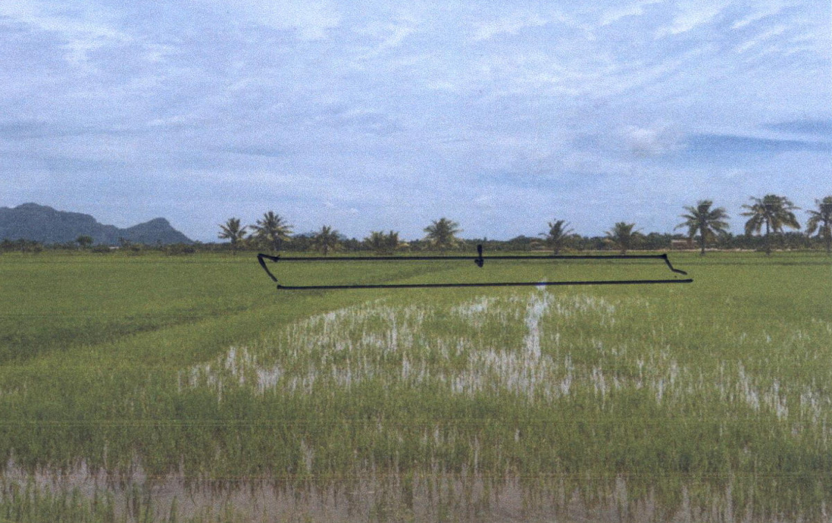 Residential land/lot Phatthalung Mueang Phatthalung Chai Buri 604875