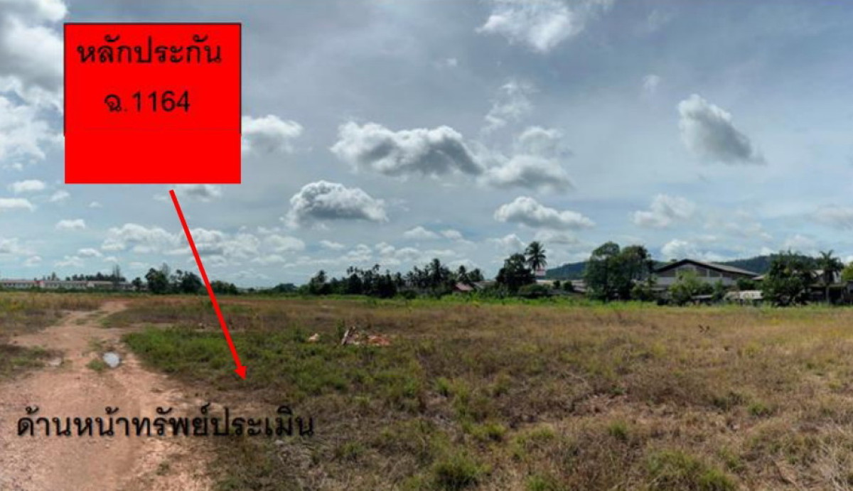 Residential land/lot Surat Thani Mueang Surat Thani Makham Tia 365617000