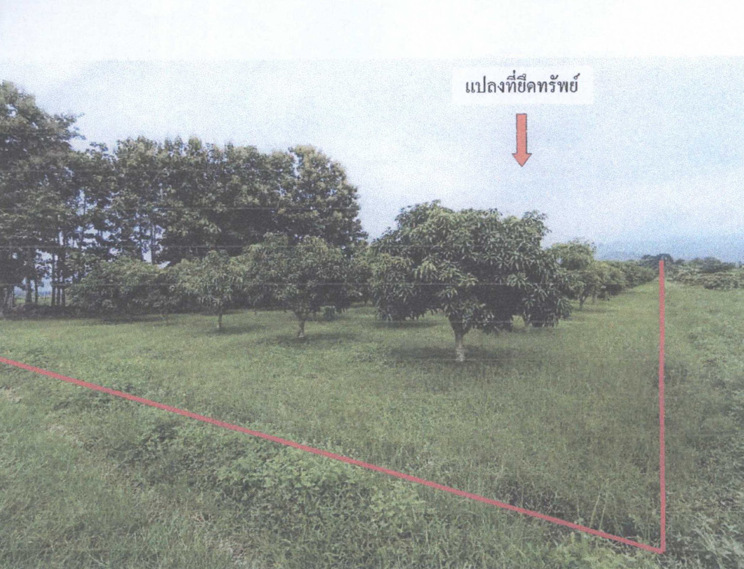 Residential land/lot Chiang Mai Phrao Wiang 360000