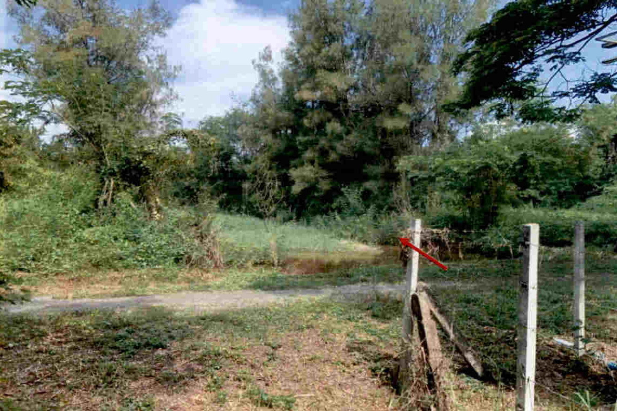Residential land/lot Chiang Mai Doi Saket Sa-Nga Ban 739500
