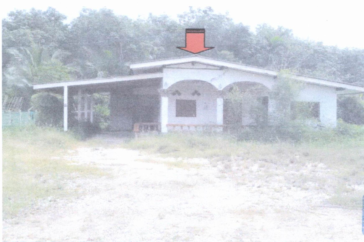 บ้านเดี่ยว สุราษฎร์ธานี วิภาวดี ตะกุกใต้ 800940