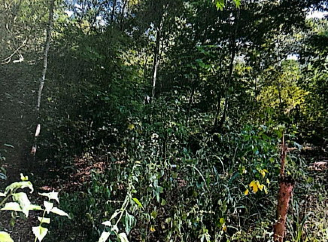 Residential land/lot Maha Sarakham Chiang Yuen Ku Thong 203320