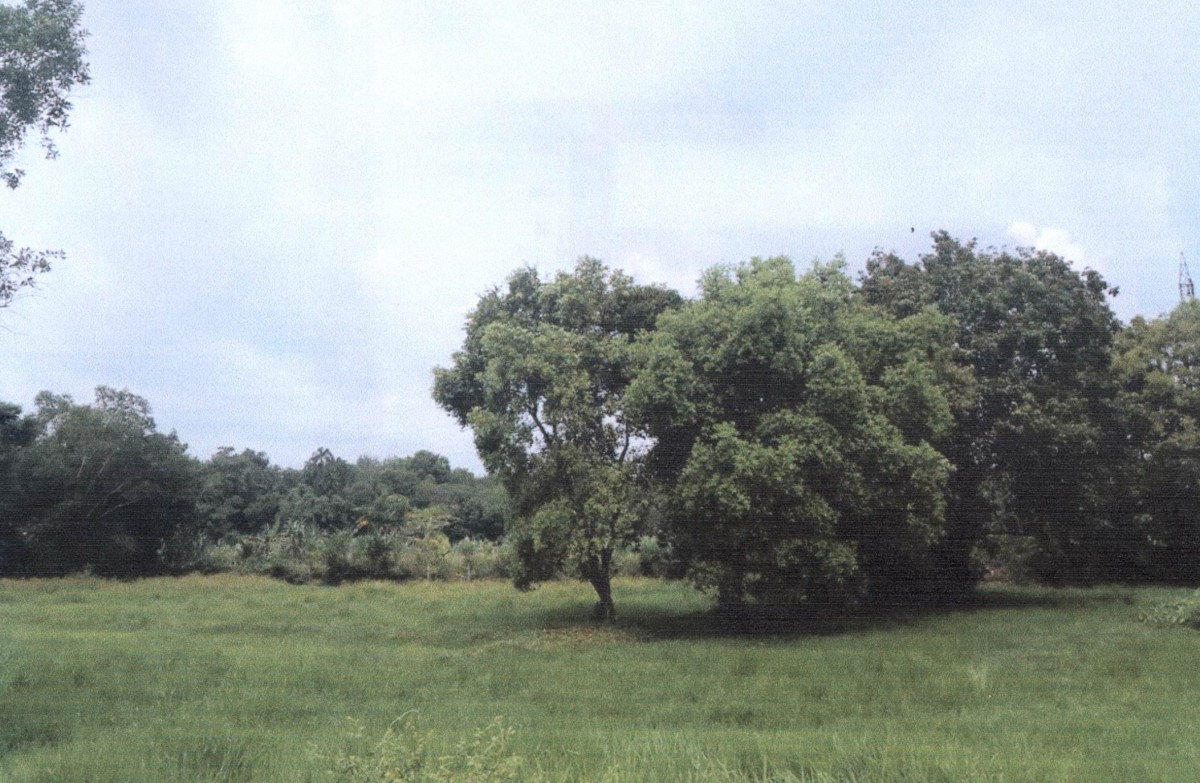 Residential land/lot Yala Raman Ba-Ngoi 51600