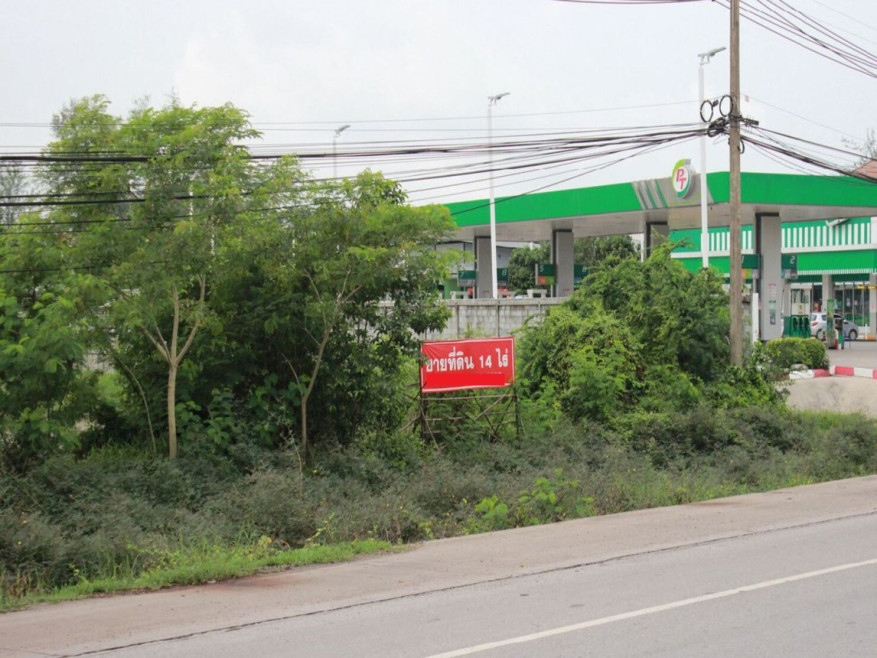 ที่ดินเปล่า ที่ดิน อุดรธานี อุดรธานี เมืองอุดรธานี หมากแข้ง 140000000