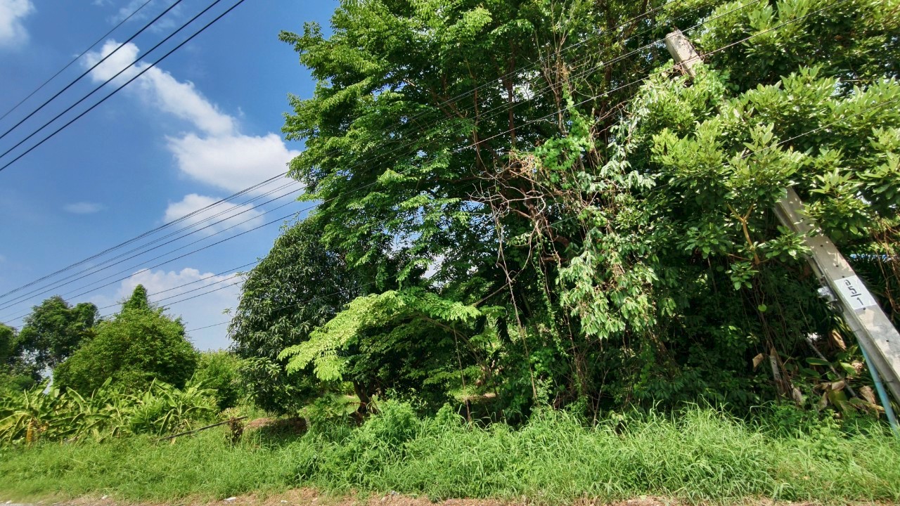 ที่ดินเปล่า นนทบุรี บางบัวทอง บางบัวทอง 13500000