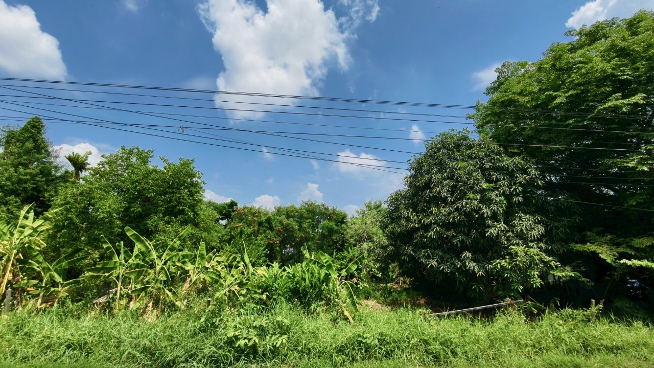 ที่ดินเปล่า นนทบุรี บางบัวทอง บางบัวทอง 13500000