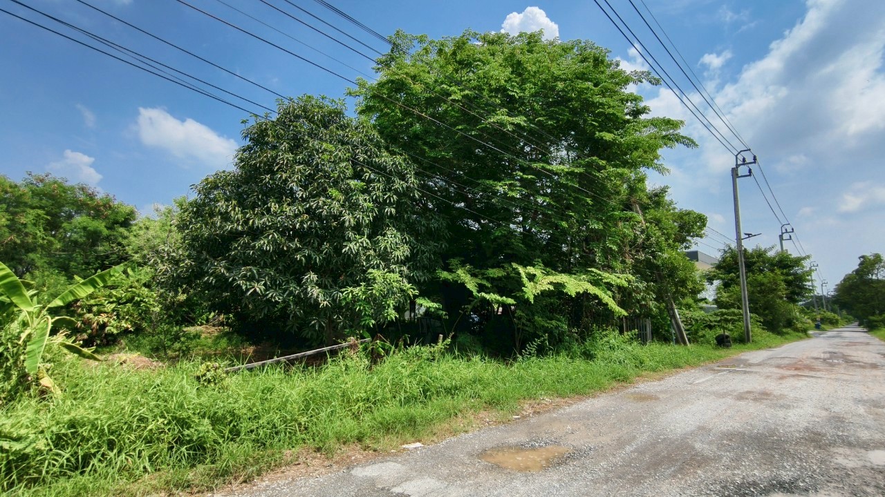 ที่ดินเปล่า นนทบุรี บางบัวทอง บางบัวทอง 13500000