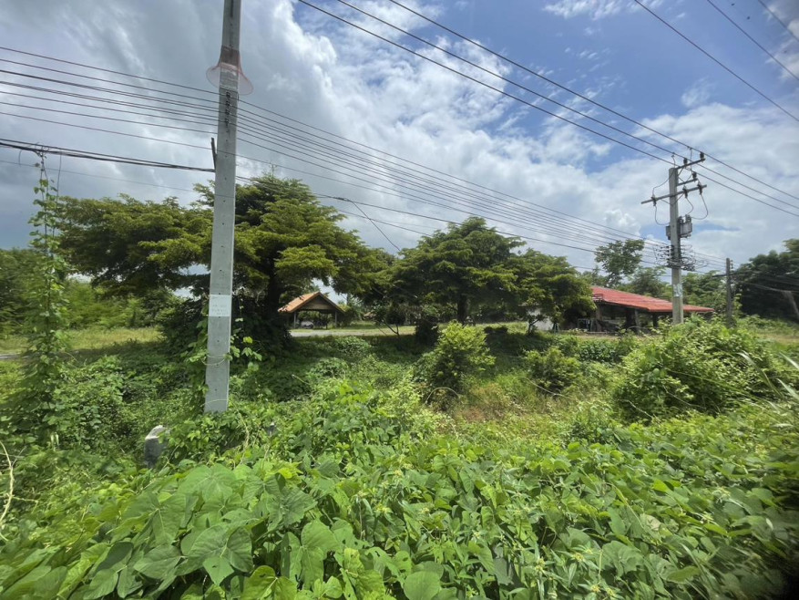 บ้านเดี่ยว บ้านเดี่ยว พิจิตร พิจิตร ตะพานหิน วังหลุม 17289110
