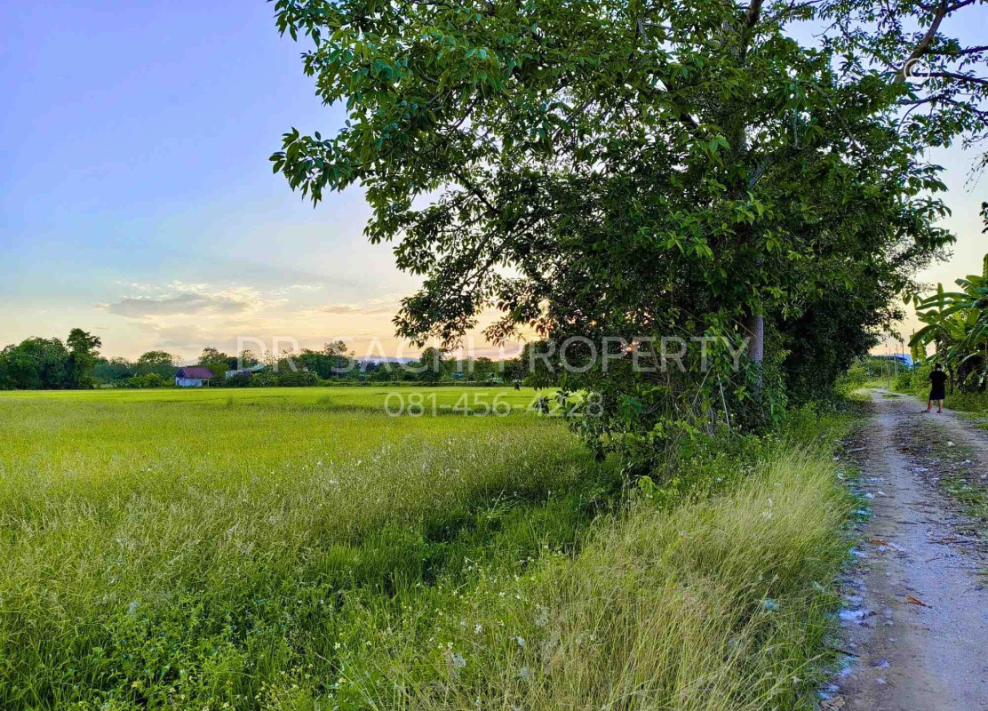 ที่ดินเปล่า เชียงราย เมืองเชียงราย ริมกก 8870000