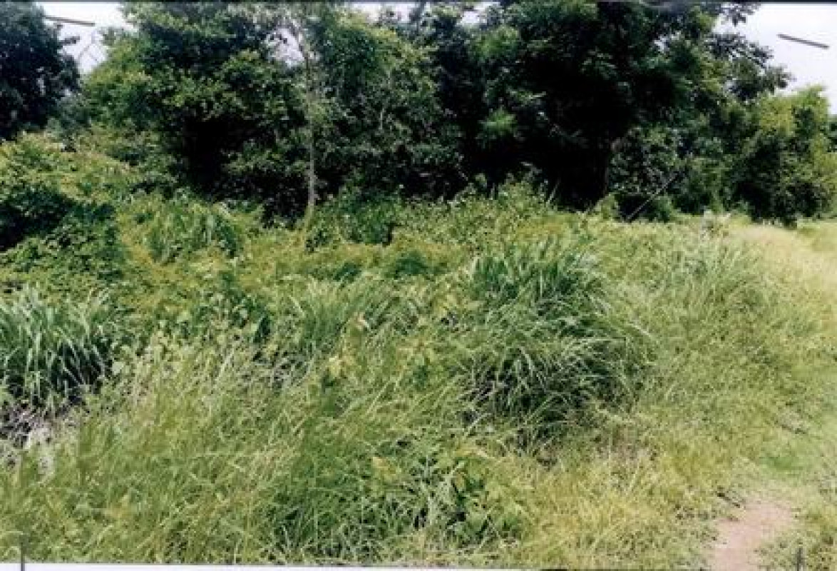 Residential land/lot Phetchabun Mueang Phetchabun Na Ngua 525200