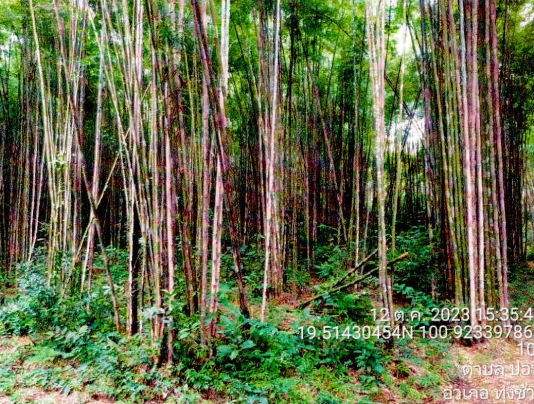 Residential land/lot Nan Thung Chang Pon 39744