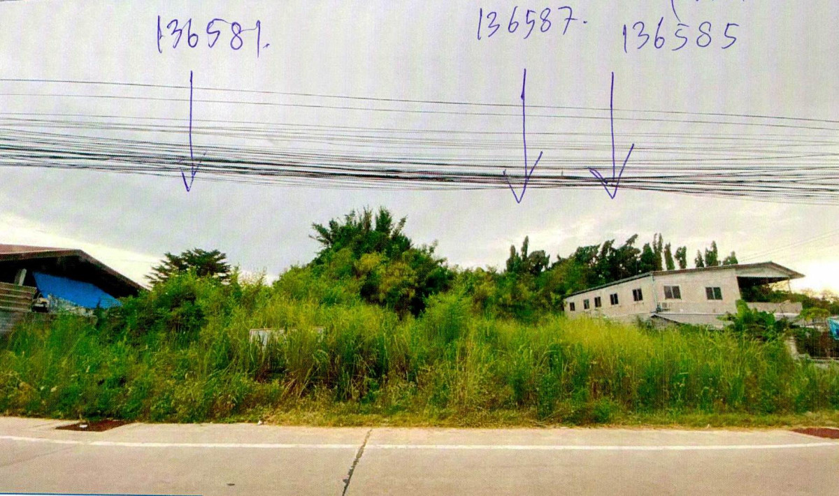 ที่ดินเปล่า ชลบุรี บางละมุง หนองปลาไหล 364000