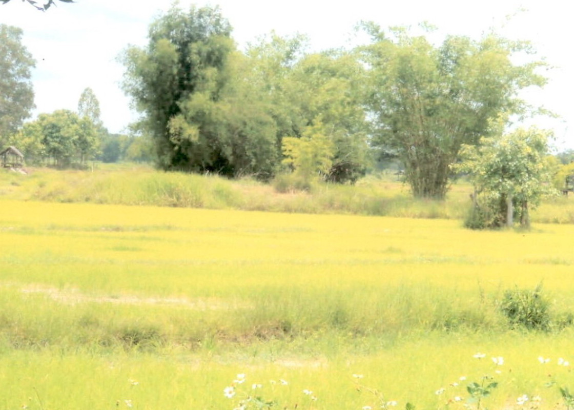 Residential land/lot Chiang Rai Phan Than Tawan 867500