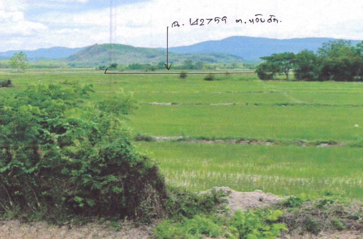 ที่ดินเปล่า เชียงราย เมืองเชียงราย ห้วยสัก 251425