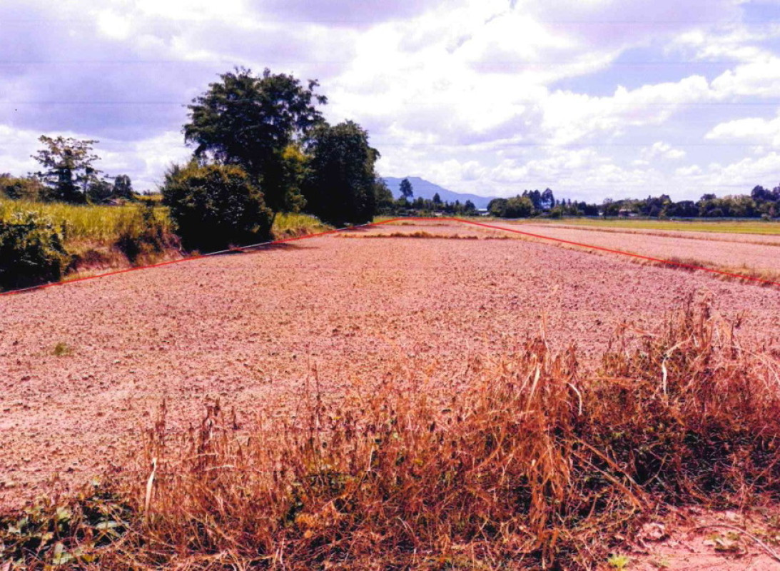 ที่ดินเปล่า สุโขทัย คีรีมาศ หนองกระดิ่ง 308594