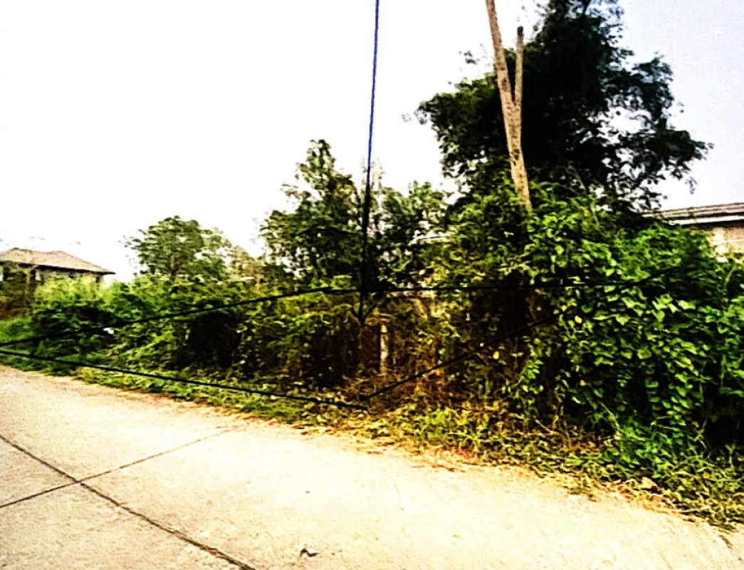 ที่ดินเปล่า สุโขทัย เมืองสุโขทัย บ้านหลุม 137475