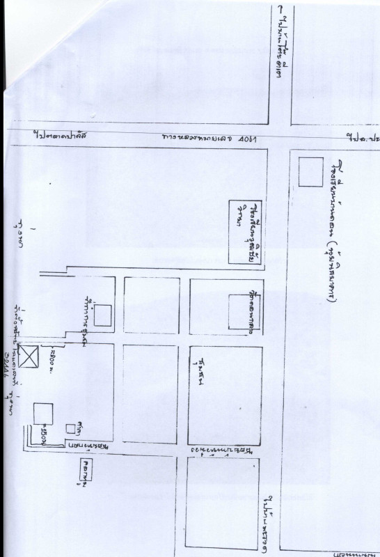 ที่ดินเปล่า ปัตตานี ปะนาเระ ดอน 51862