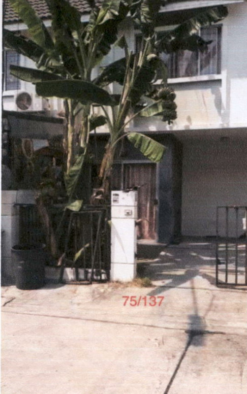 Townhouse Nakhon Pathom Sam Phran Rai Khing 726220