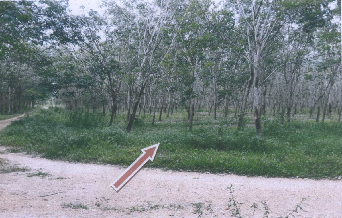 Residential land/lot Phatthalung Mueang Phatthalung Khu Ha Sa Wan 546700