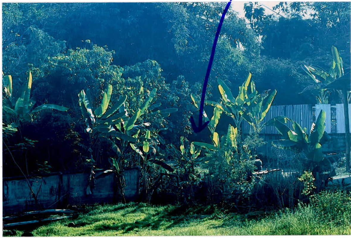 Residential land/lot Nan Mueang Nan Du Tai 10230