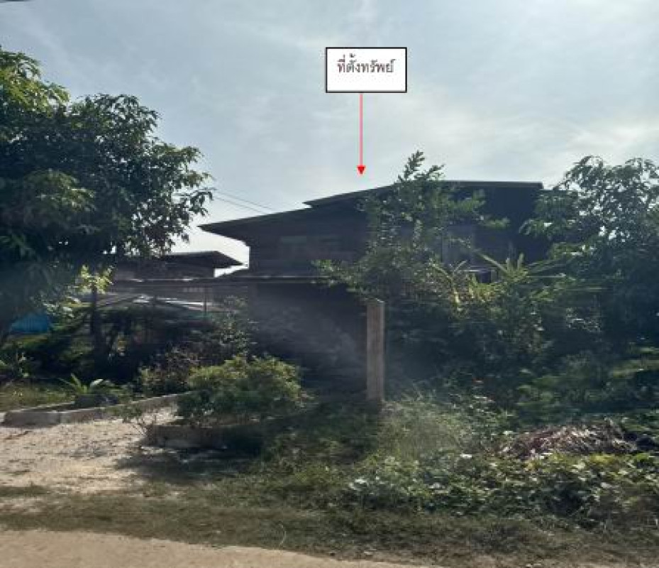Residential land/lot Chiang Rai Chiang Khong Sathan 93500