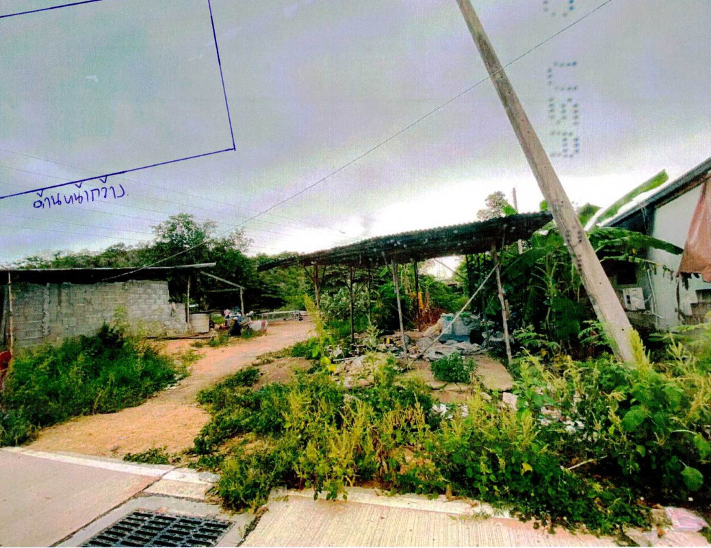 ที่ดินเปล่า ชลบุรี บางละมุง หนองปรือ 7380000
