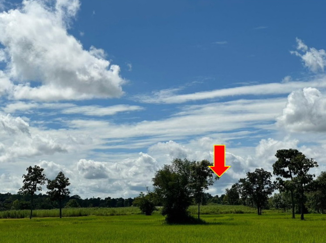 ที่ดินเปล่า สกลนคร สว่างแดนดิน บ้านต้าย 443940