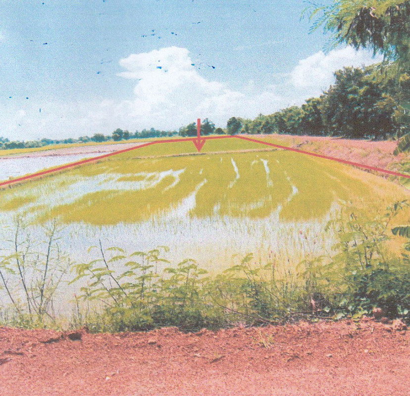 ที่ดินเปล่า สุโขทัย ศรีสำโรง วัดเกาะ 219180